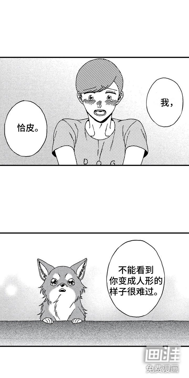 第19章：非常可爱