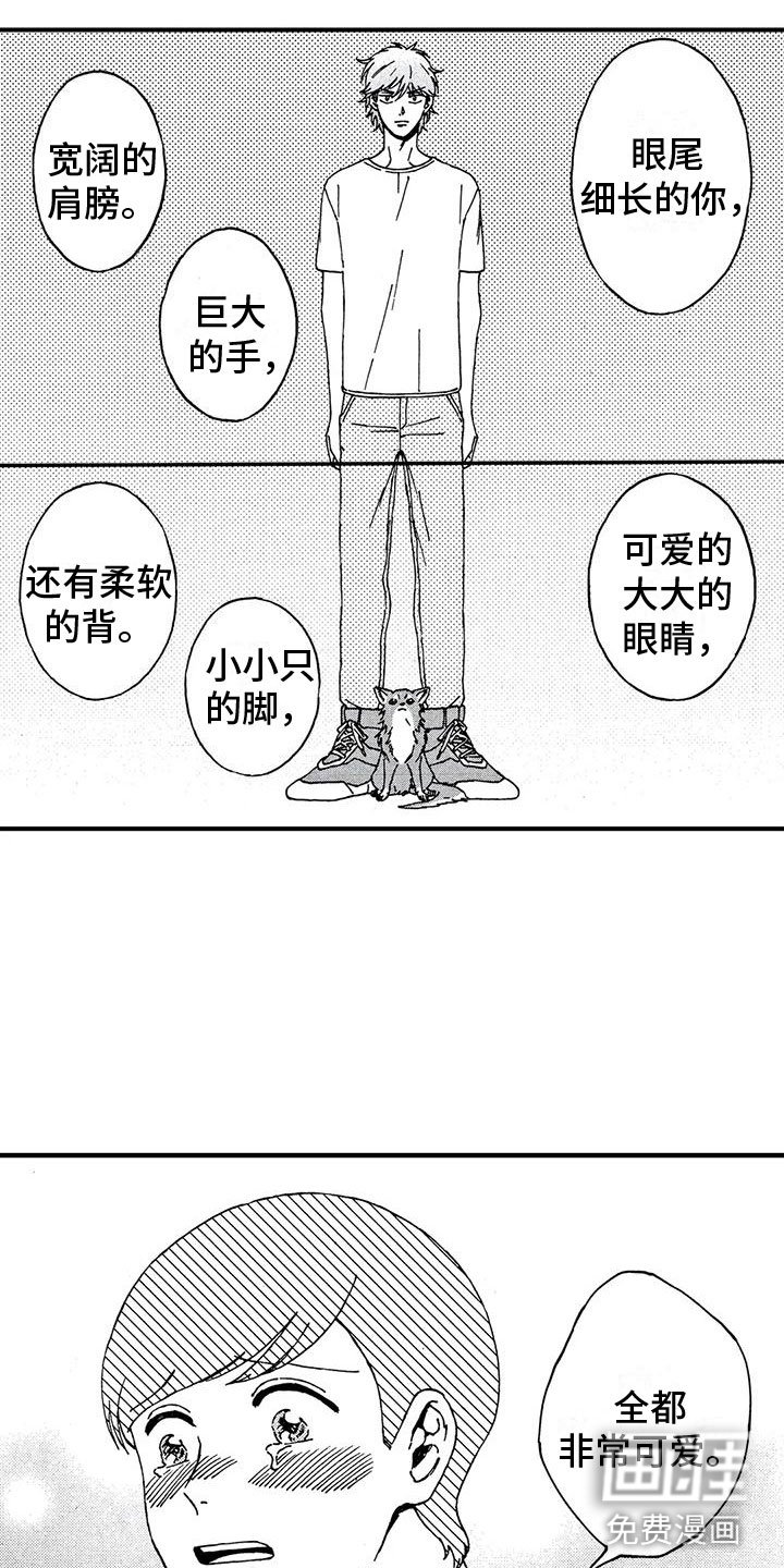 第19章：非常可爱