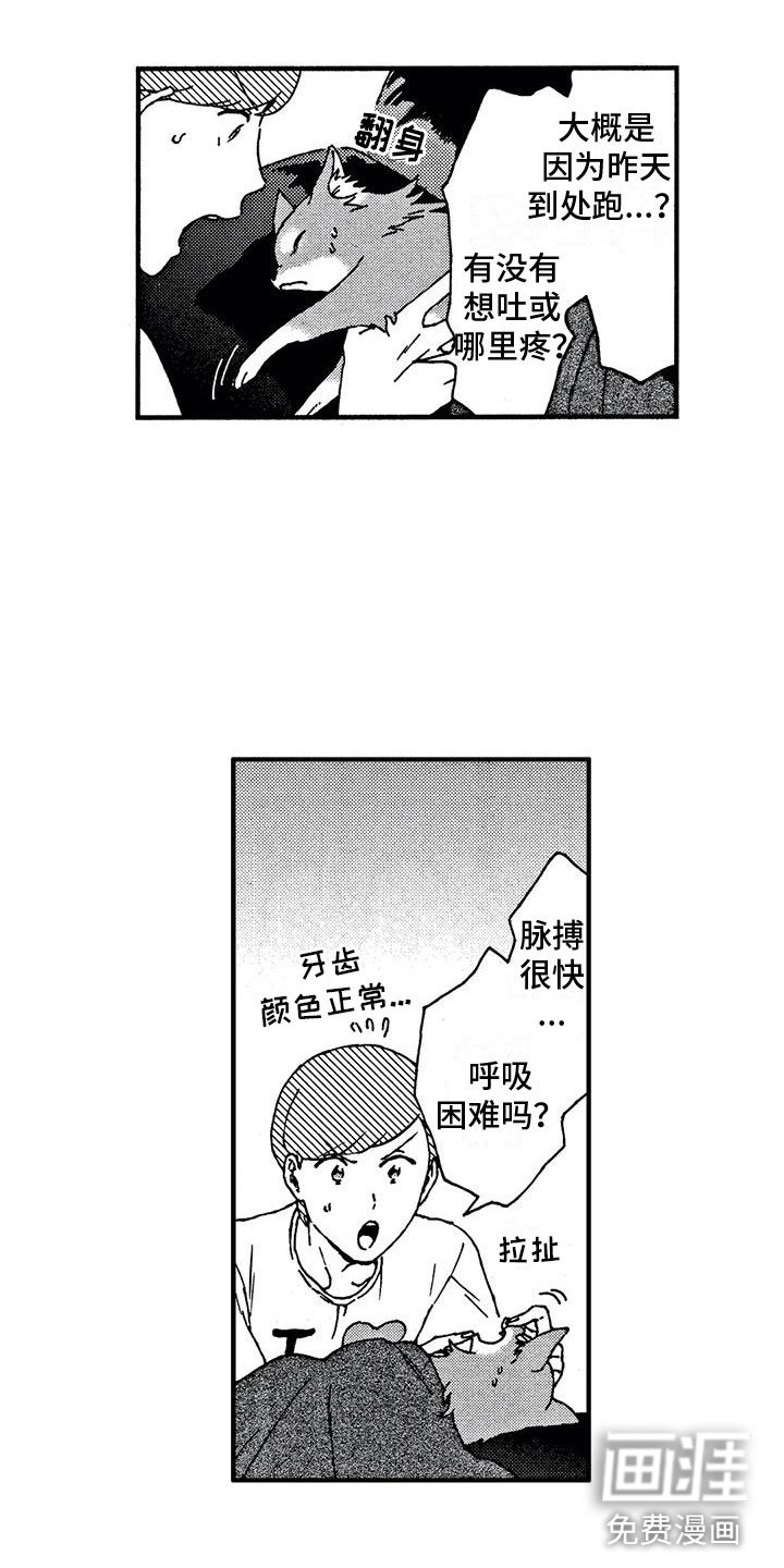 第4章：发烧了