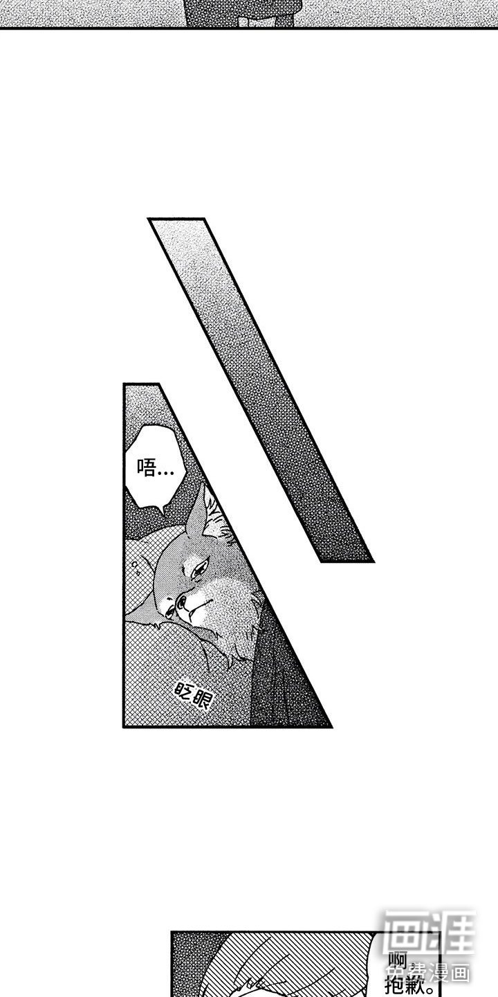 第4章：发烧了