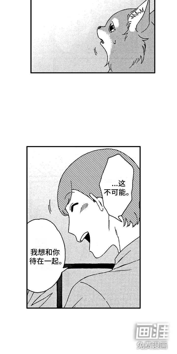 第4章：发烧了