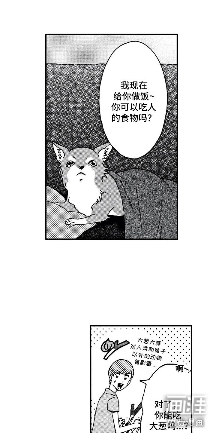 第4章：发烧了