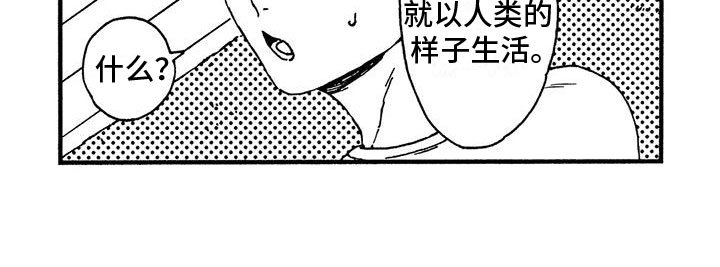 第4章：发烧了