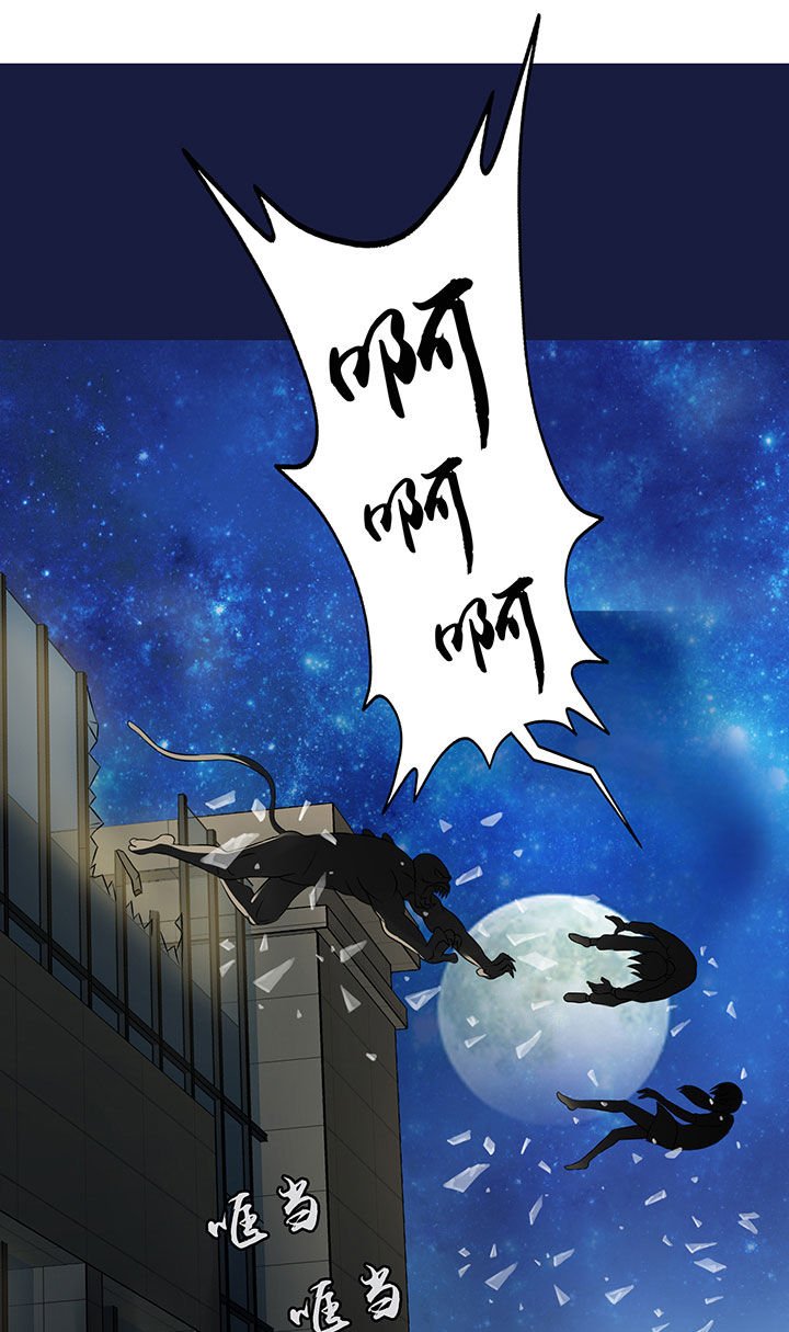第13章：