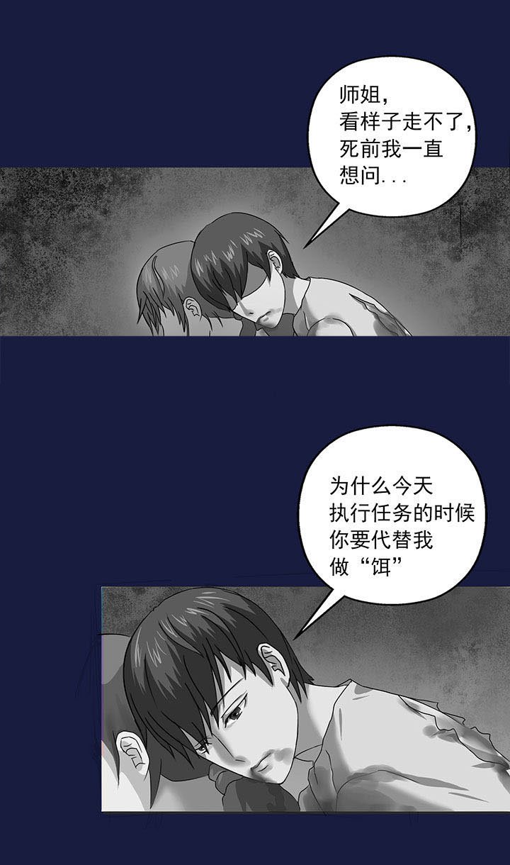 第15章：
