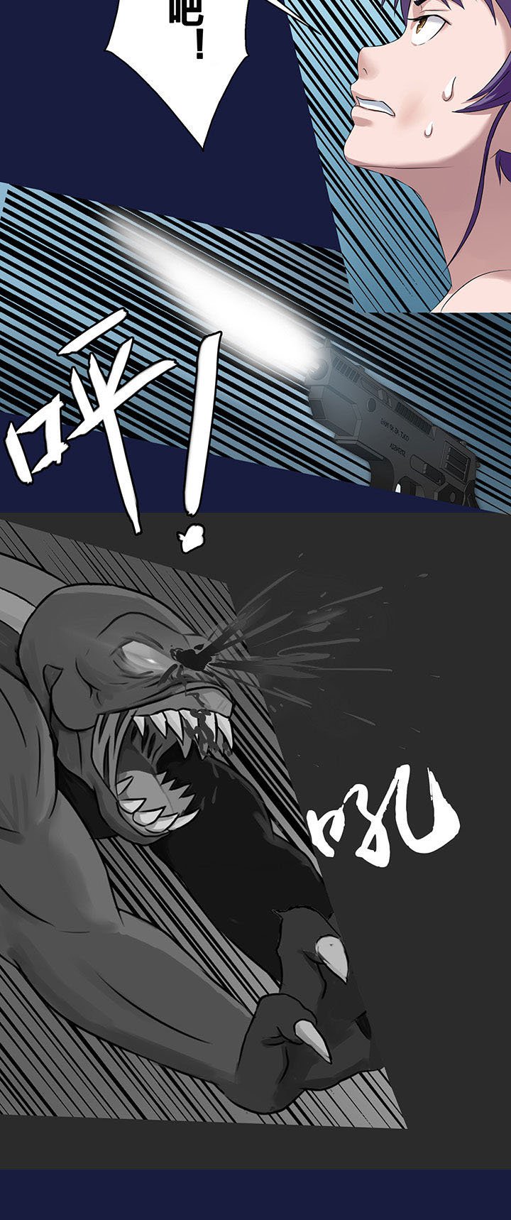 第17章：