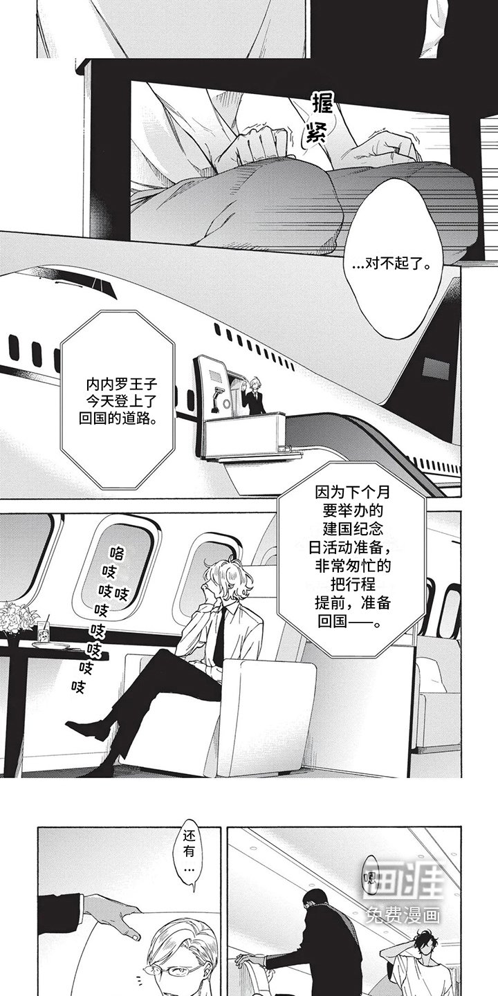 第12章：决定