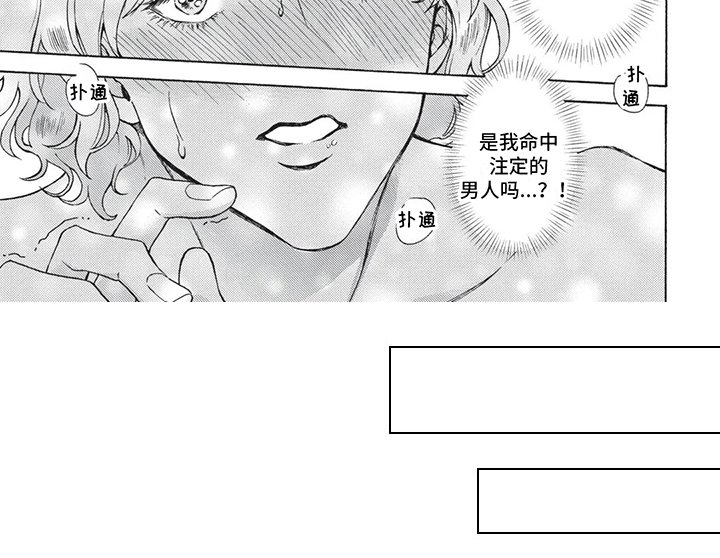 第2章：吸引
