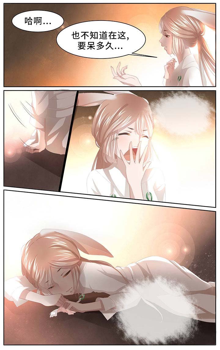 第3章：