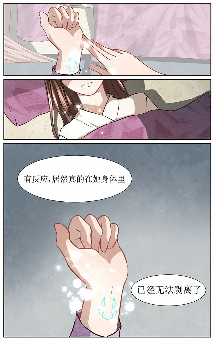 第41章：