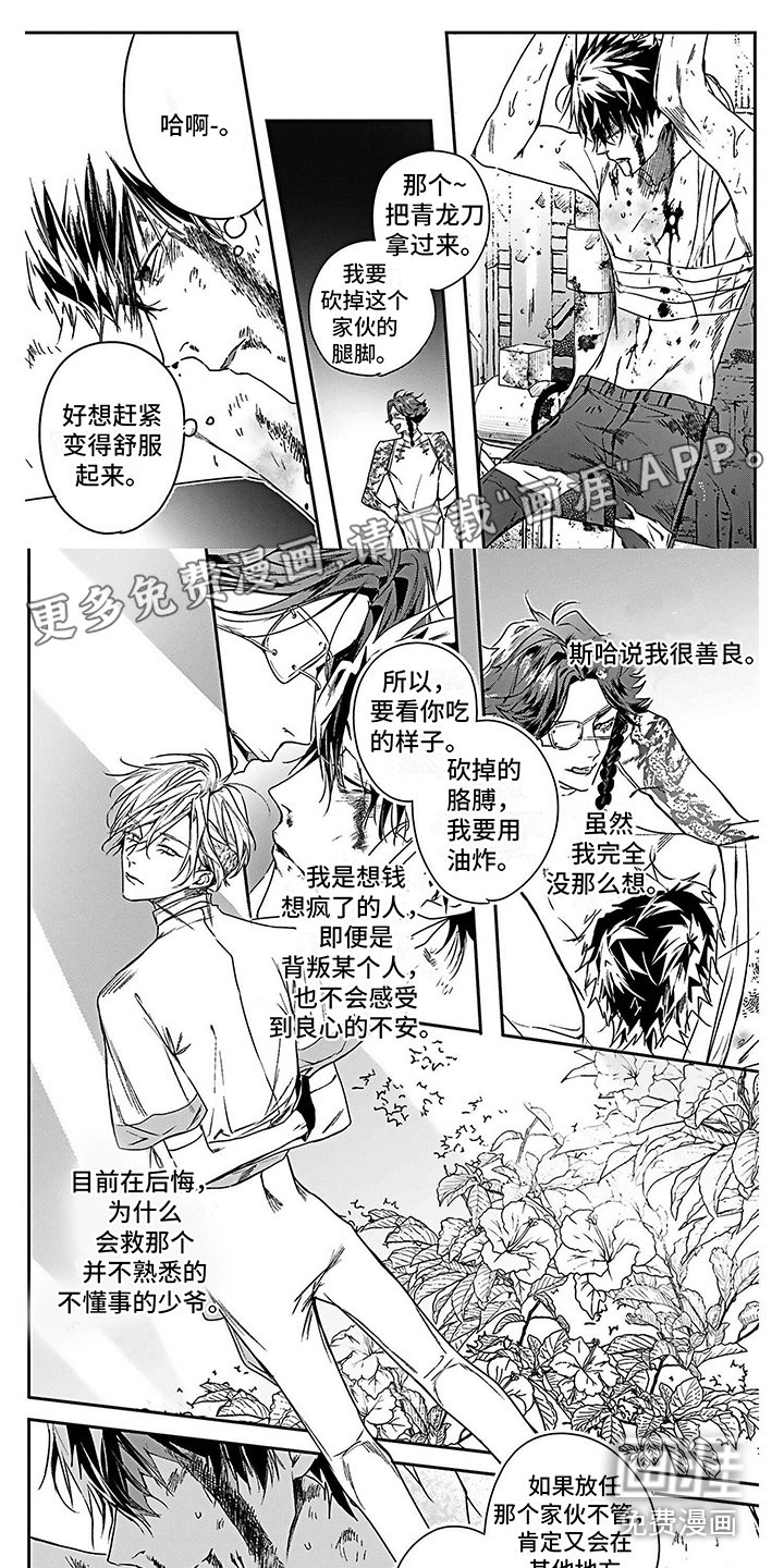 第17章：照片