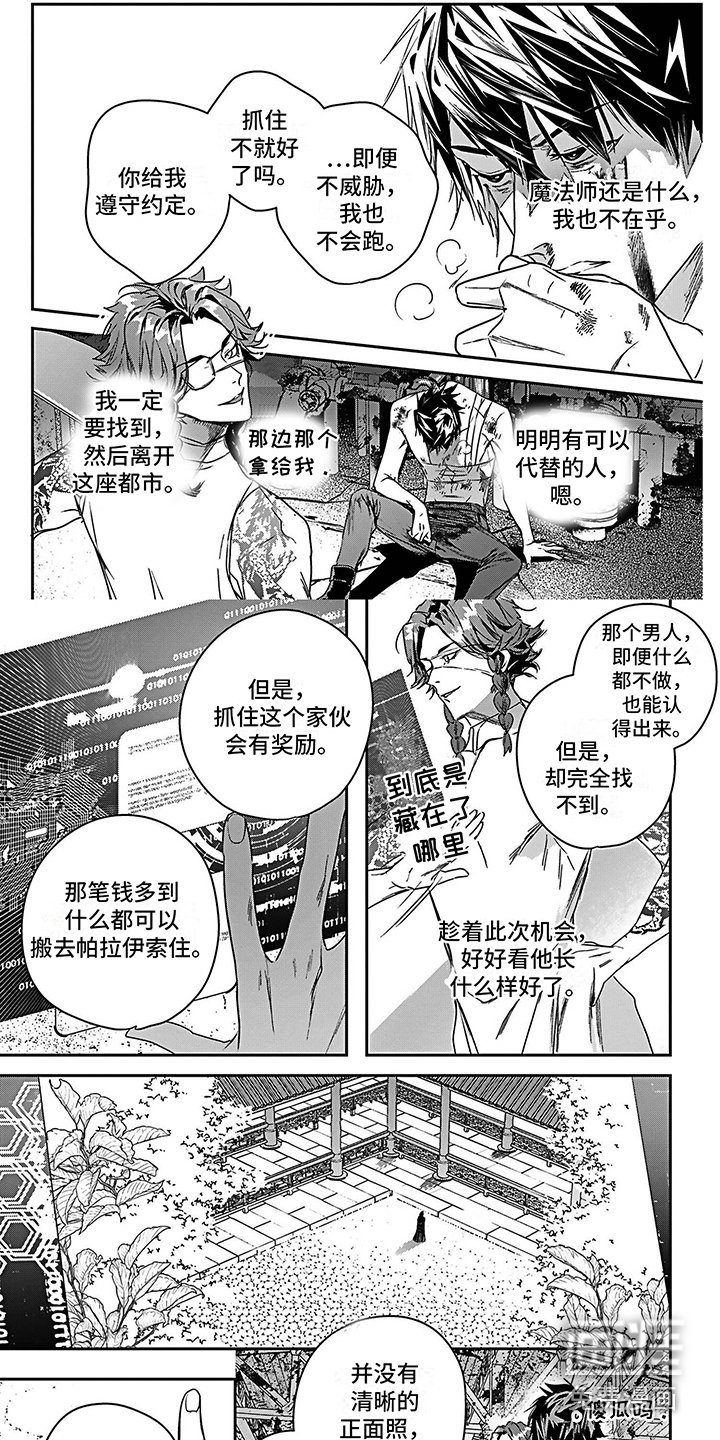 第17章：照片