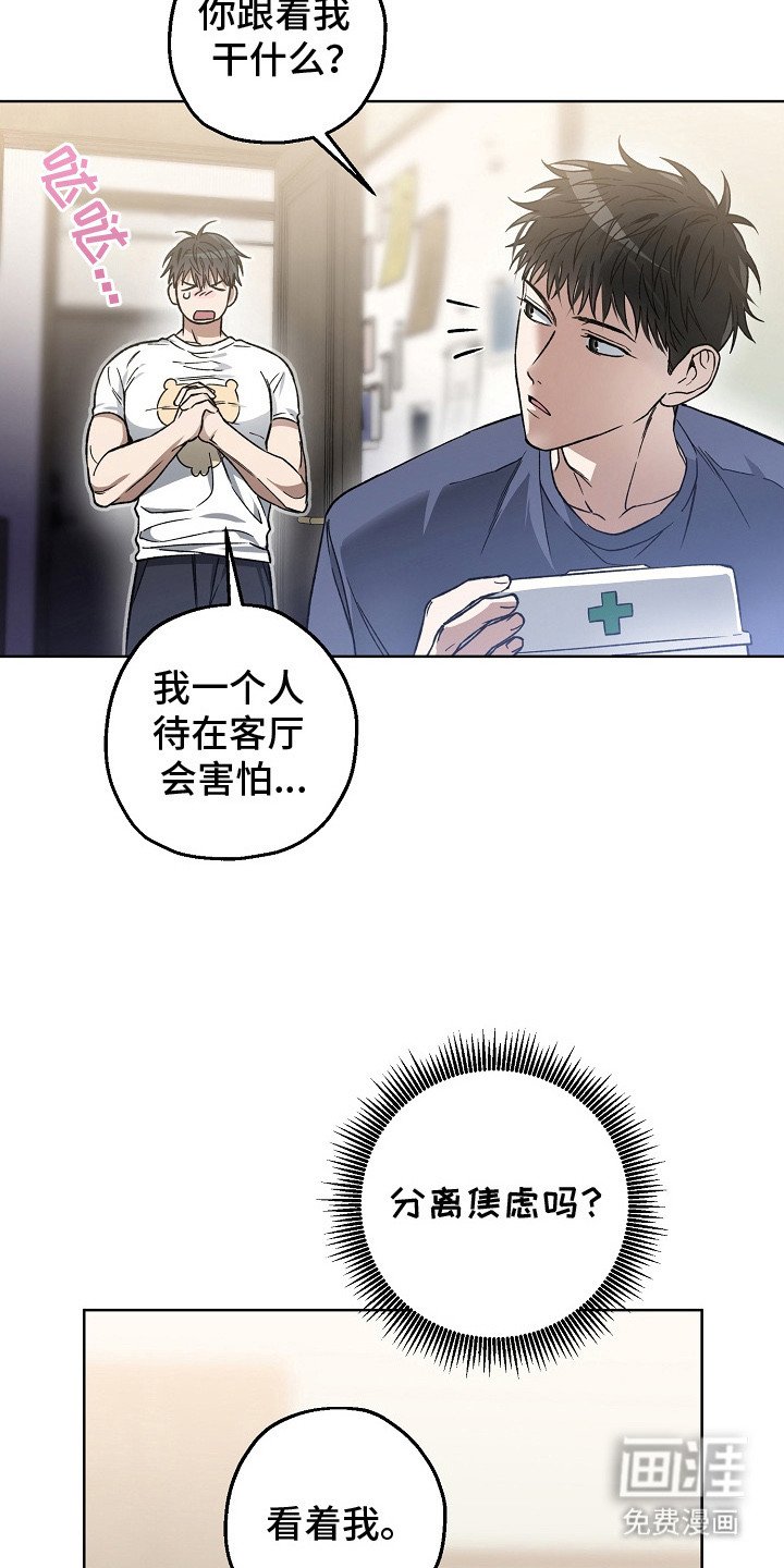 第10章：分离焦虑