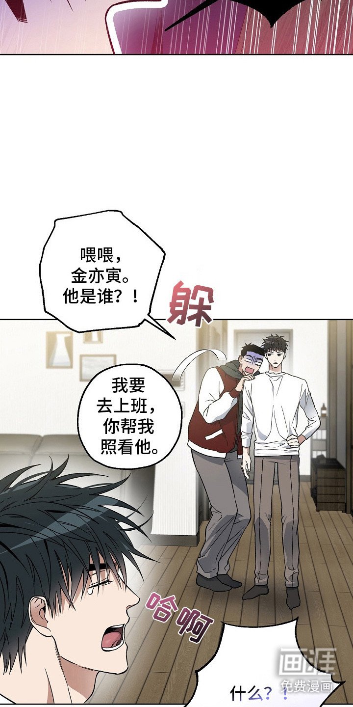 第11章：哄睡觉