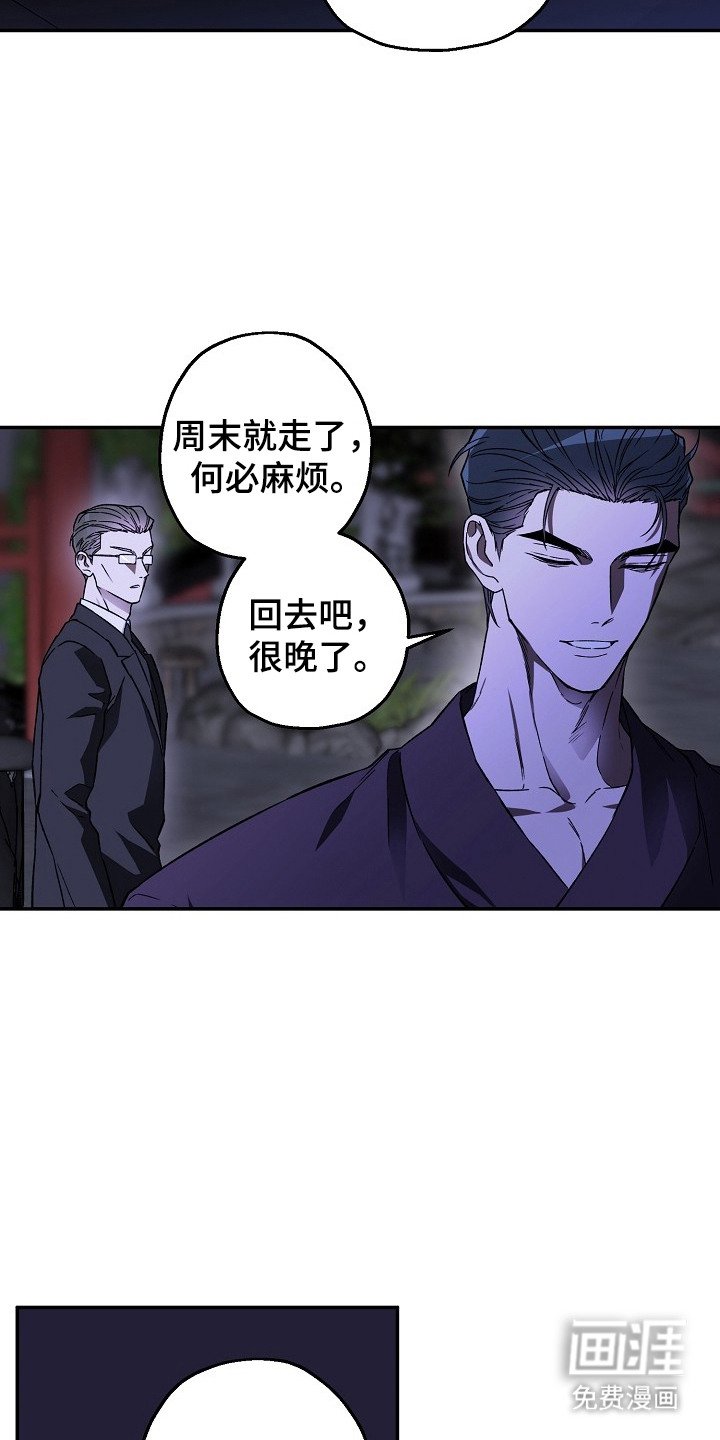 第2章：猪突猛进
