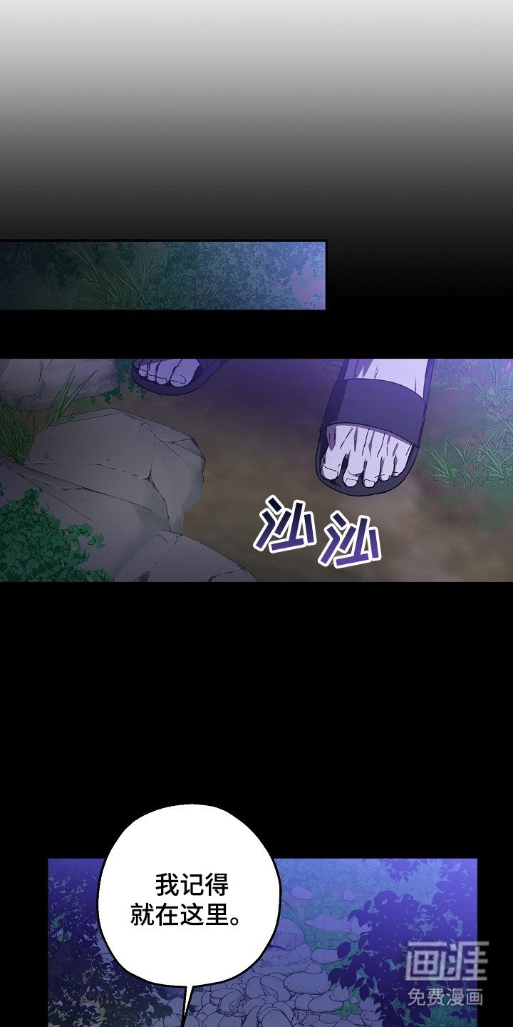 第2章：猪突猛进