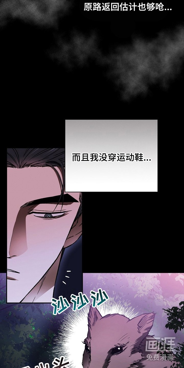 第2章：猪突猛进