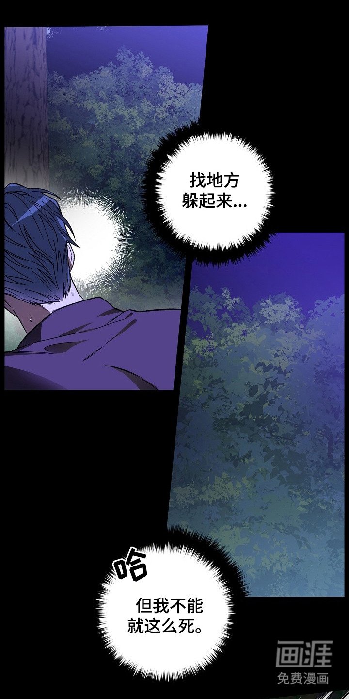 第2章：猪突猛进