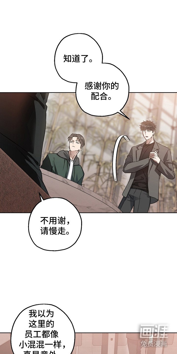 第21章：调查