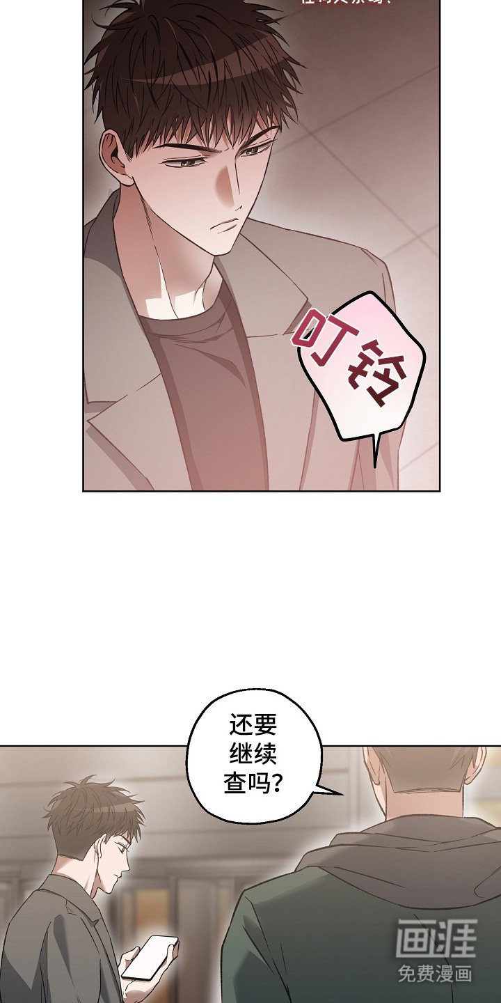 第21章：调查