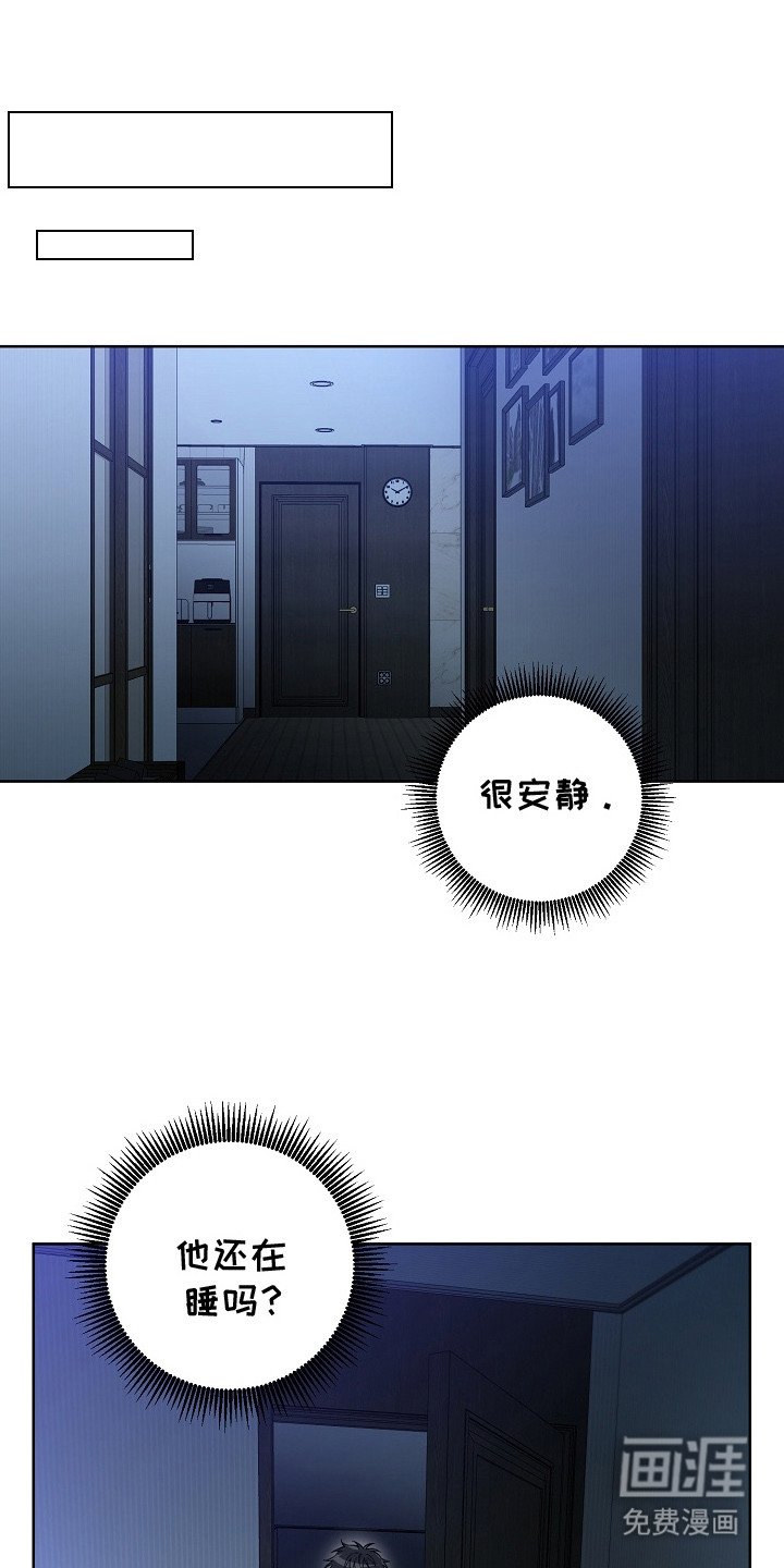 第21章：调查