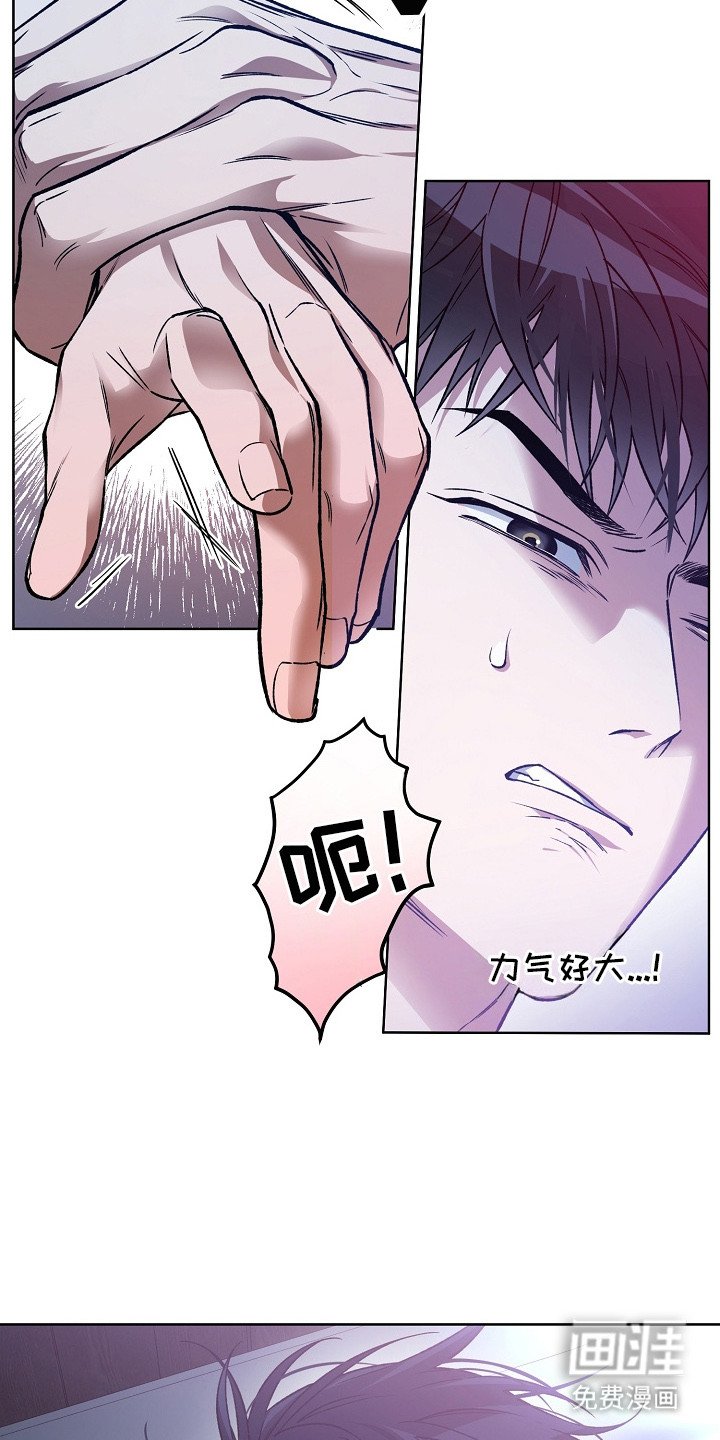 第21章：调查