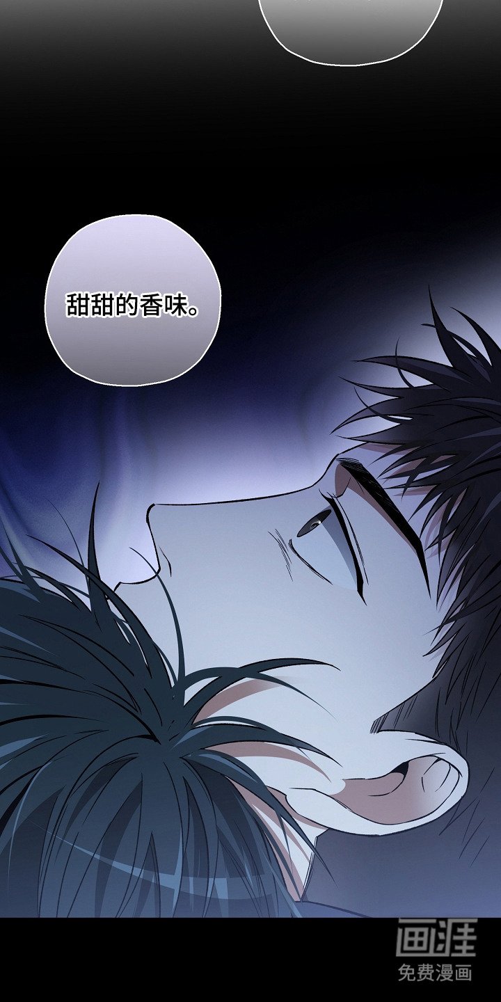 第24章：淡淡的香气