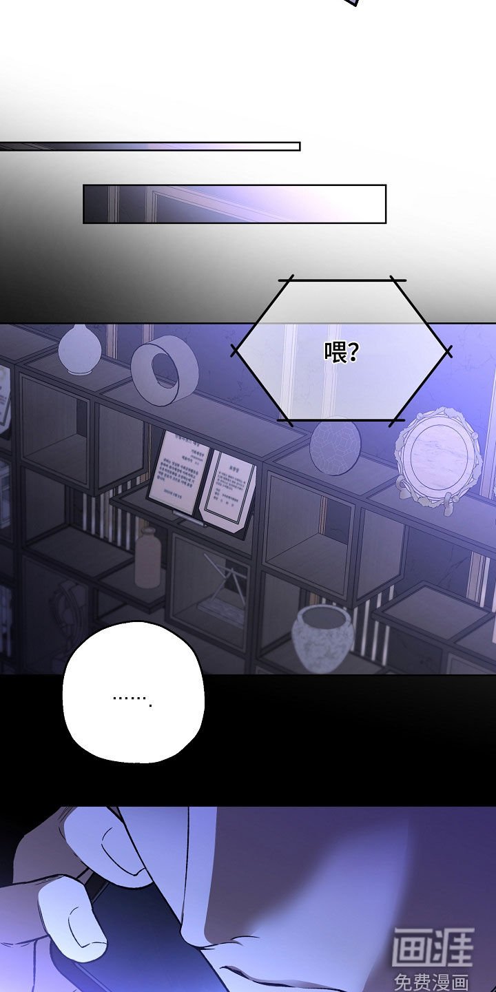 第29章：电话