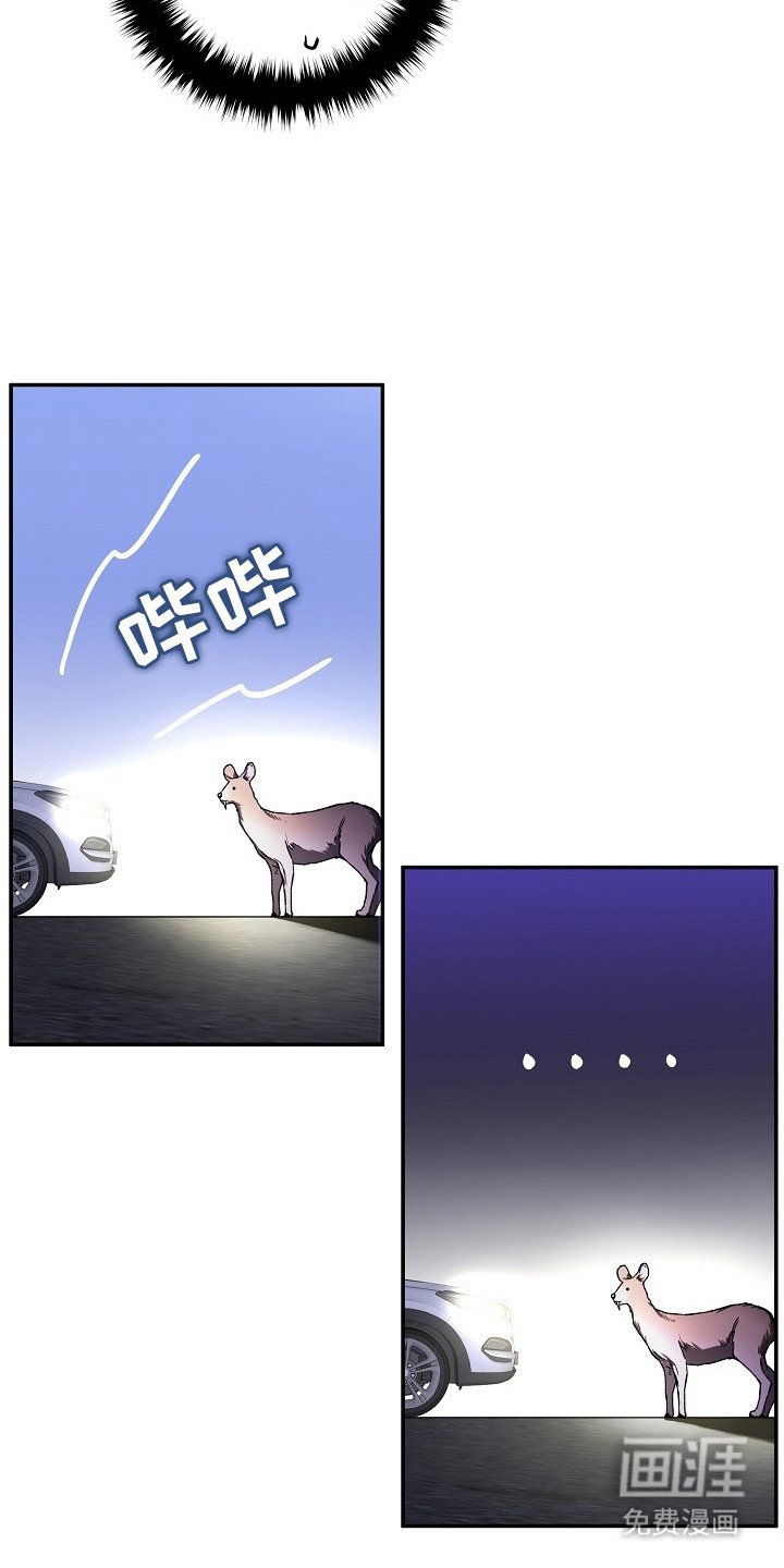 第3章：正巧撞见