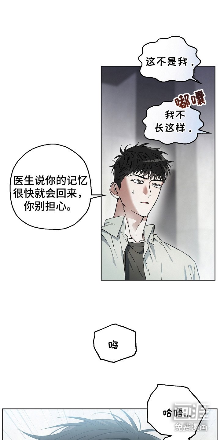 第5章：不对劲