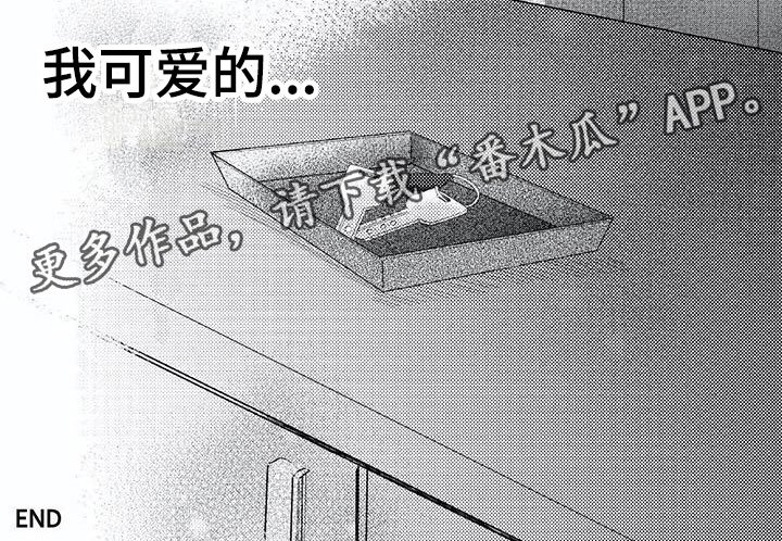 第24章：可爱的