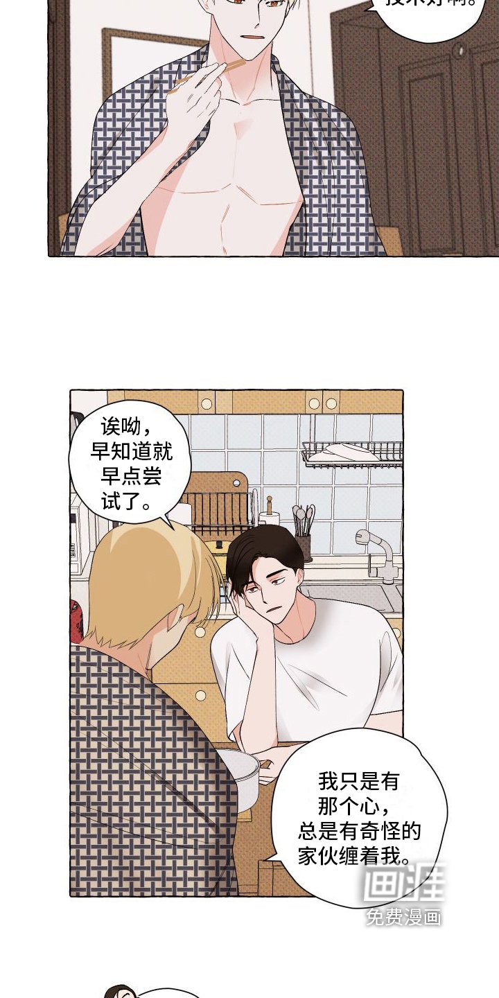第6章：关注