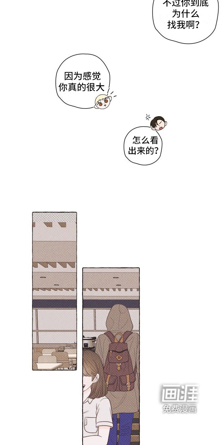 第6章：关注