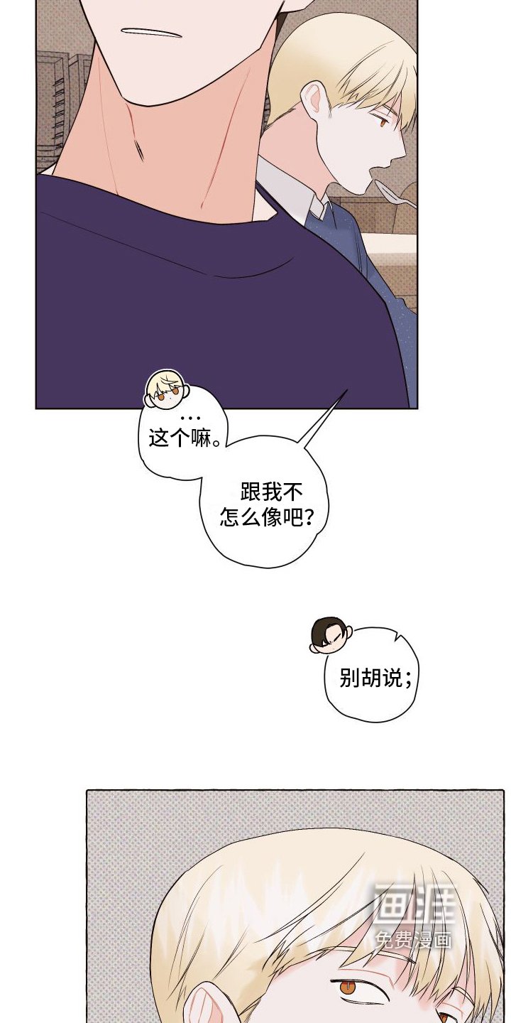 第6章：关注