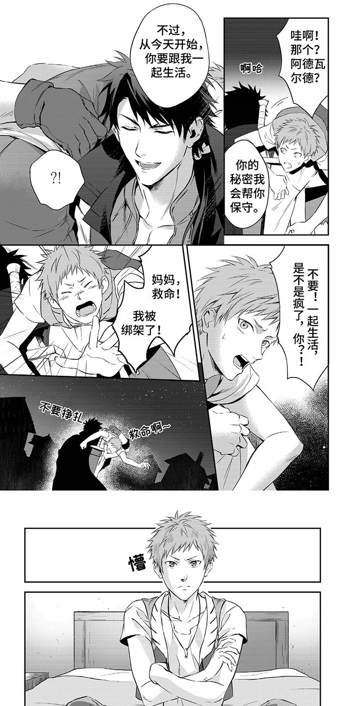 第3章：魔石