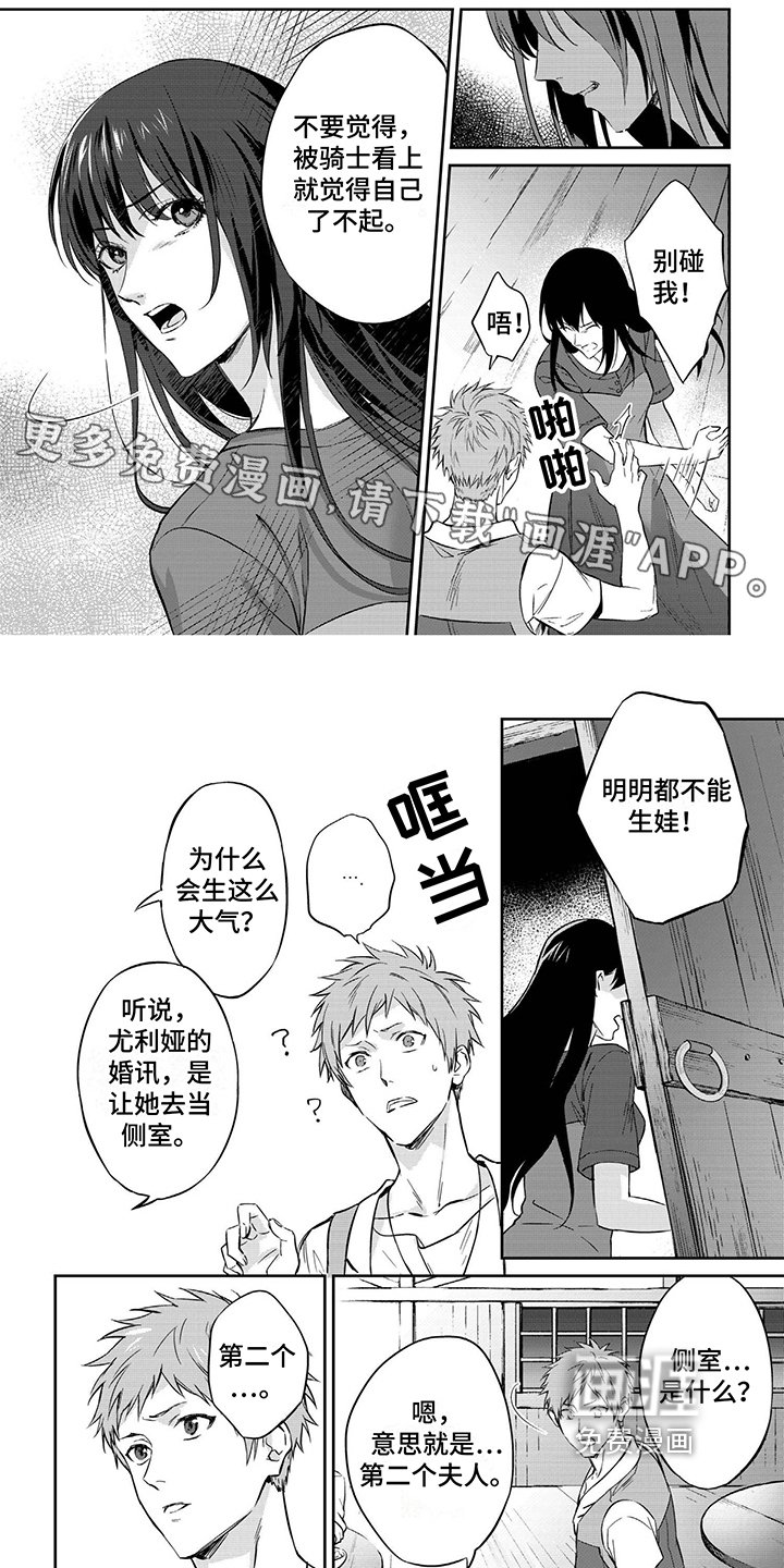 第8章：守护骑士