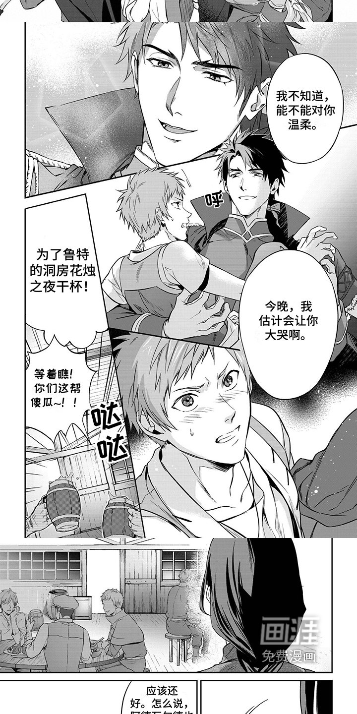 第8章：守护骑士