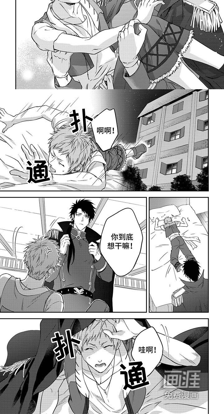 第8章：守护骑士