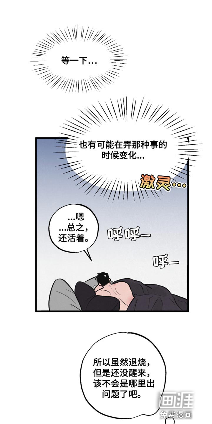 第11章：小狗