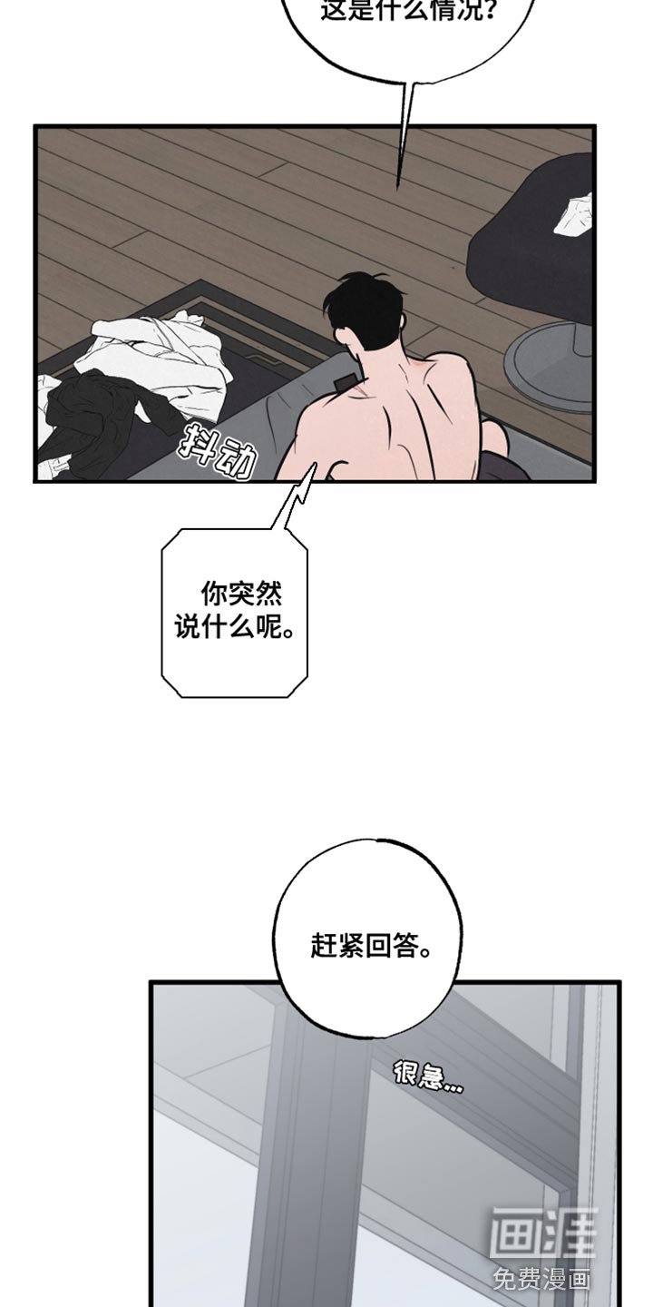 第11章：小狗
