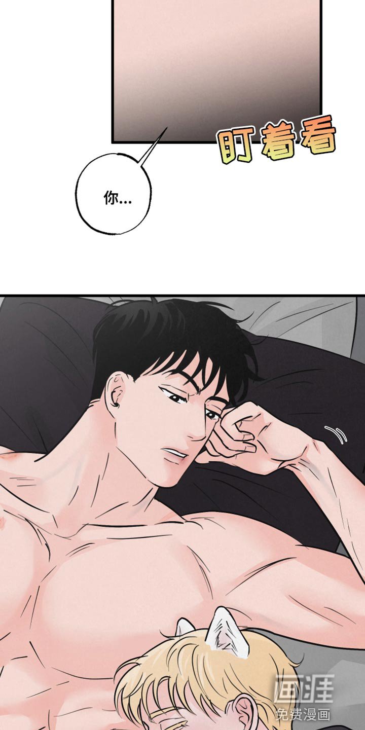 第11章：小狗