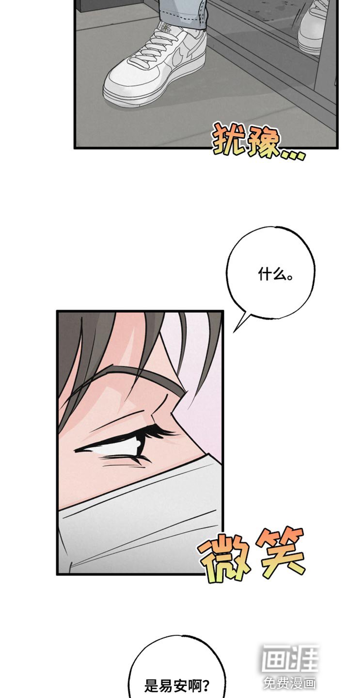 第11章：小狗