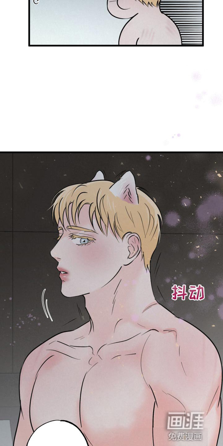 第12章：责任