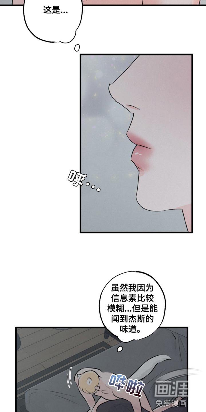 第12章：责任