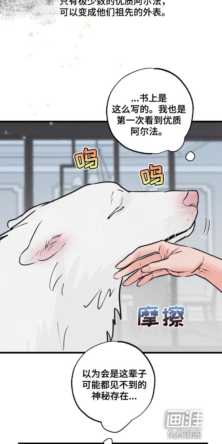 第13章：吃惊