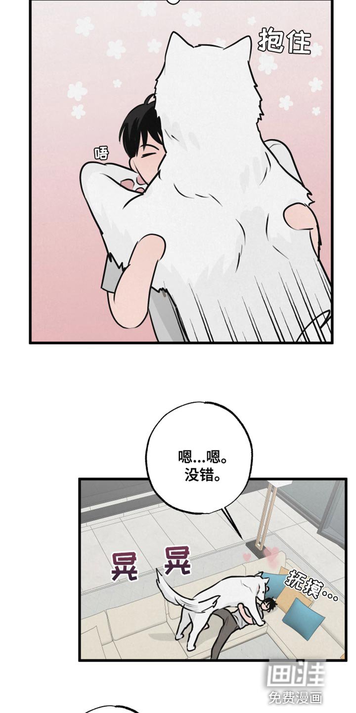 第13章：吃惊