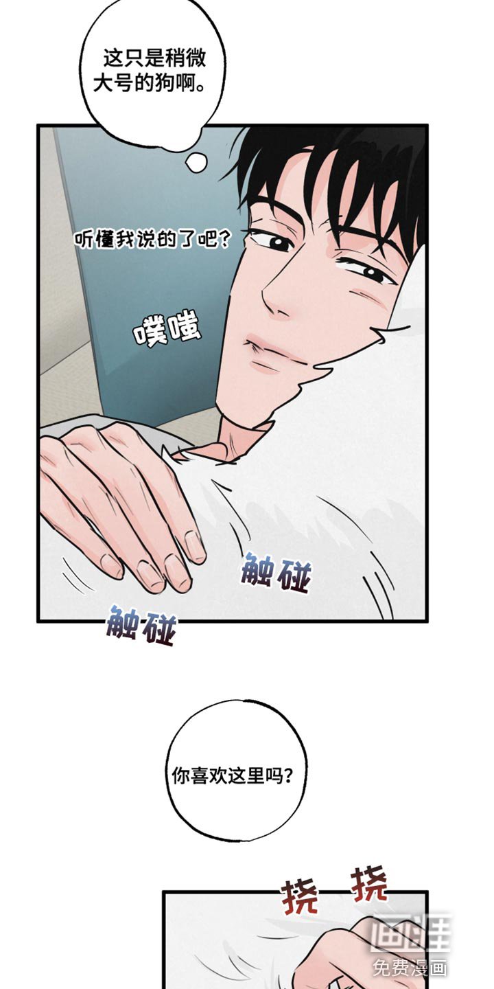 第13章：吃惊