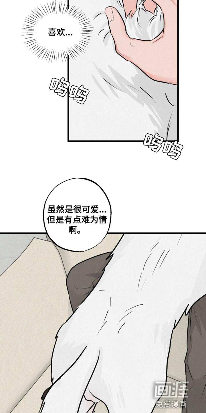 第13章：吃惊