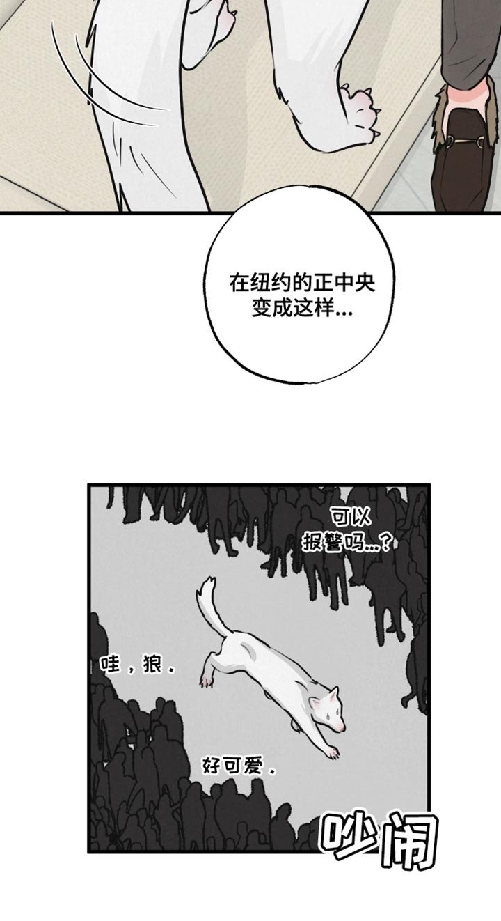 第13章：吃惊