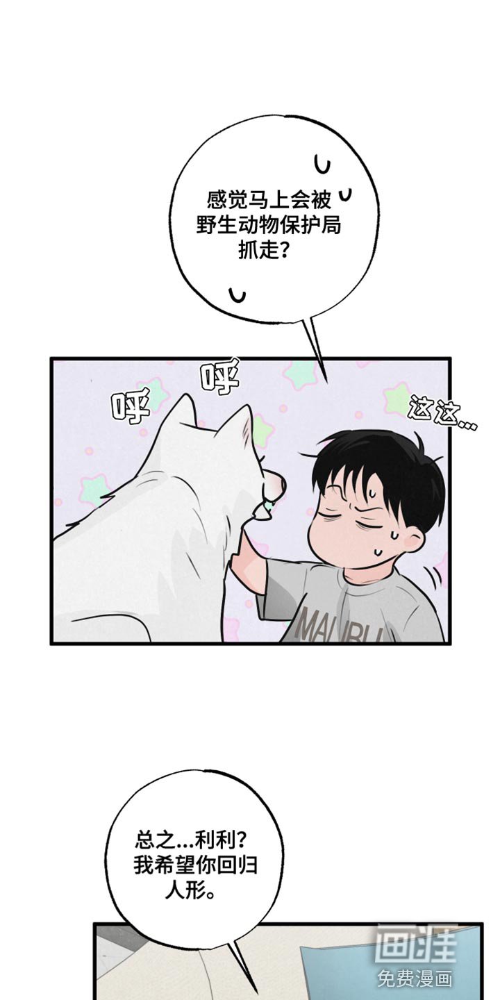 第13章：吃惊